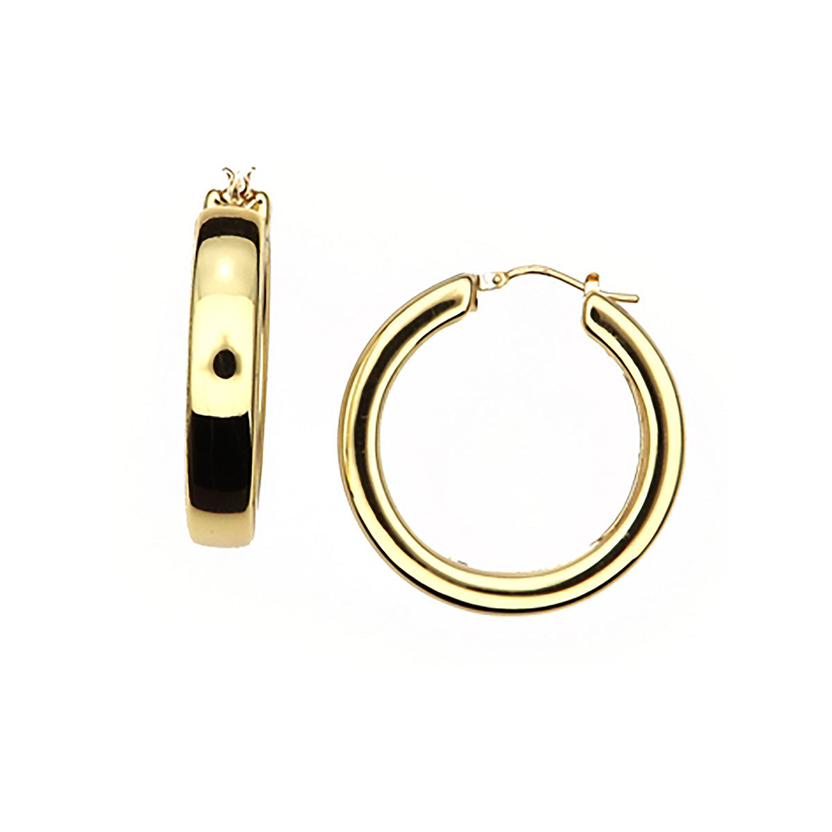Orecchini Polished · 060RET047/425