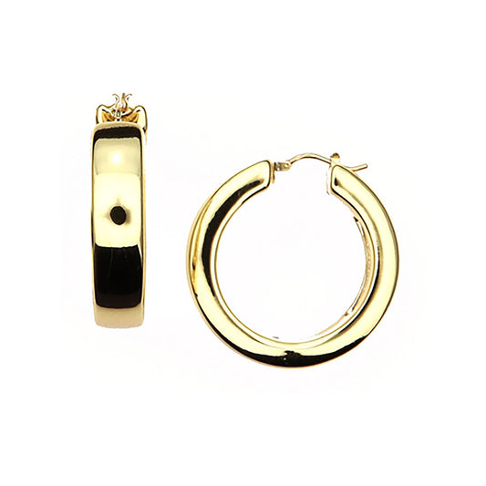 Earrings Polished · 080RET047/425 · 14 kt